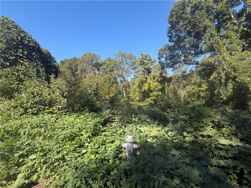 unimproved land for sale at 3194 Robinson Avenue, Scottdale, GA 30079 — photo 4