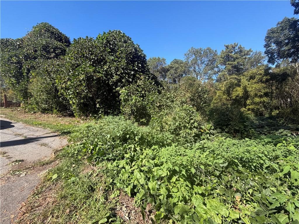 unimproved land for sale at 3194 Robinson Avenue, Scottdale, GA 30079 — photo 5