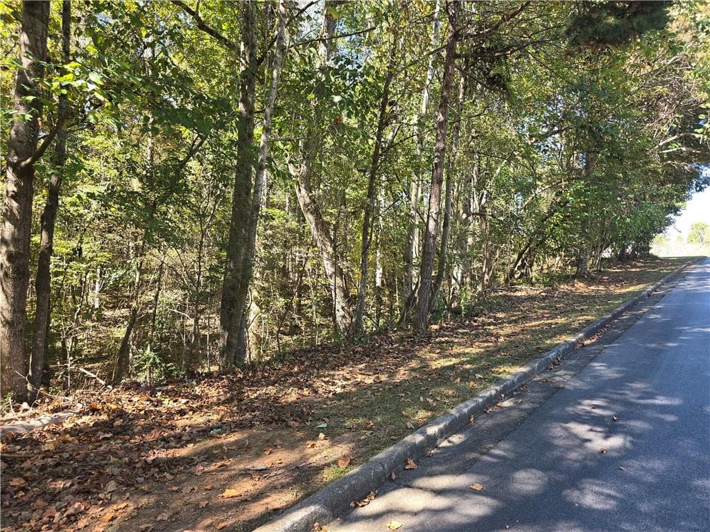 unimproved land for sale at 4215 Sandstone Shores Drive, Lithonia, GA 30038 — photo 3