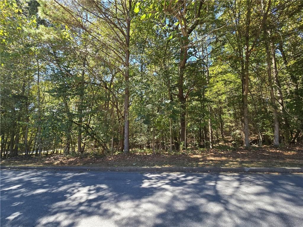 unimproved land for sale at 4215 Sandstone Shores Drive, Lithonia, GA 30038 — photo 5