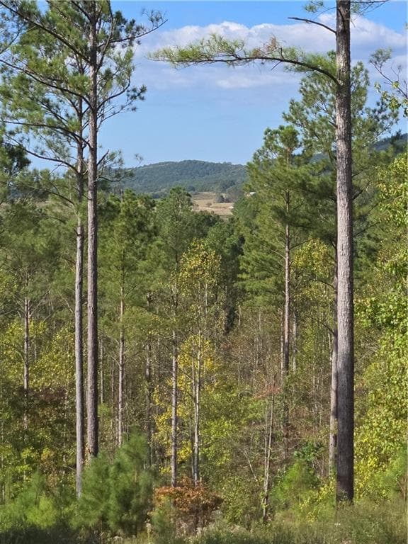 single family residence for sale at 3871 HWY 140, Rydal, GA 30171 — photo 2