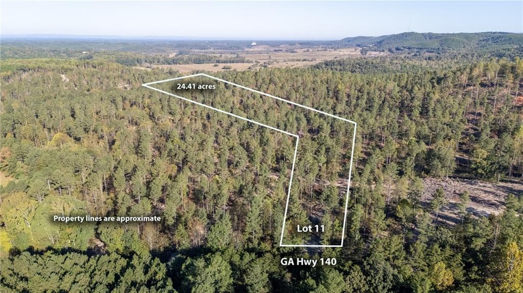 single family residence for sale at 3871 HWY 140, Rydal, GA 30171 — photo 3