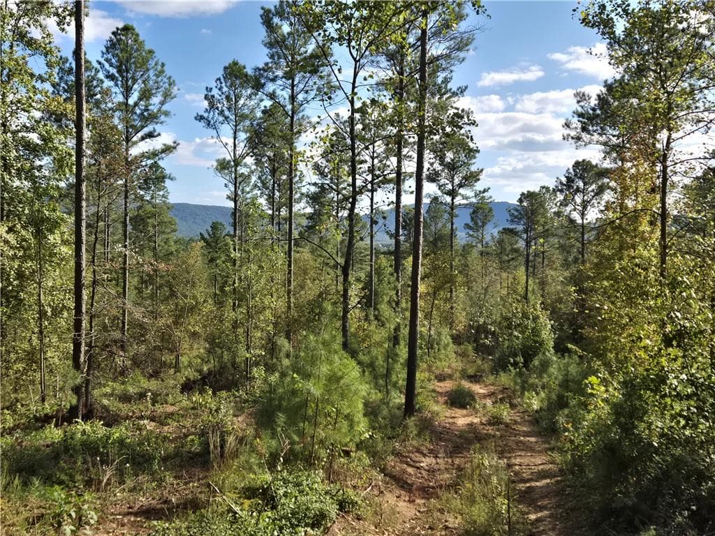 single family residence for sale at 3871 HWY 140, Rydal, GA 30171 — photo 4