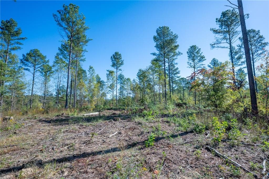 single family residence for sale at 3871 HWY 140, Rydal, GA 30171 — photo 7