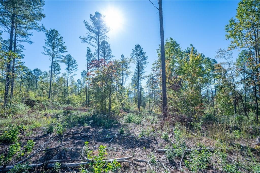 single family residence for sale at 3871 HWY 140, Rydal, GA 30171 — photo 8