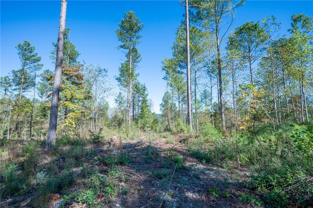 single family residence for sale at 3871 HWY 140, Rydal, GA 30171 — photo 9