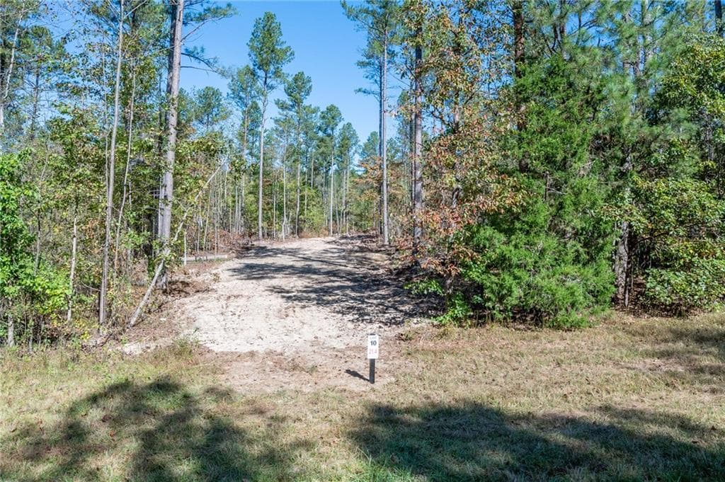 single family residence for sale at 3867 HWY 140, Rydal, GA 30171 — photo 3
