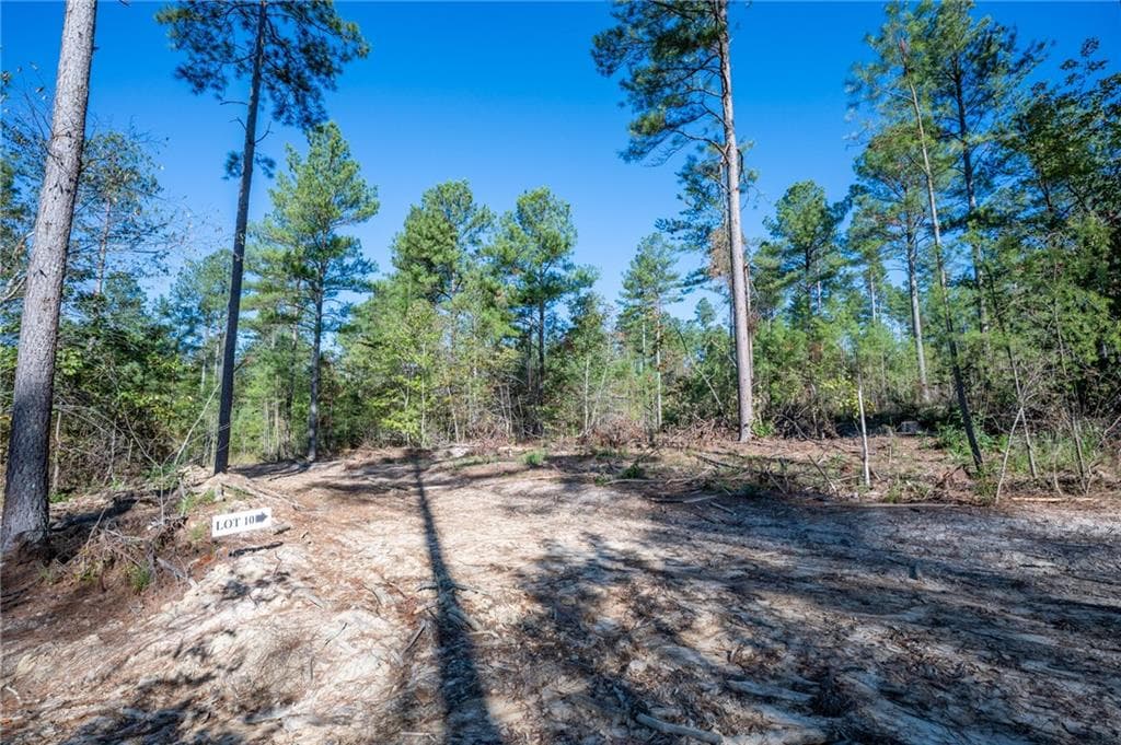 single family residence for sale at 3867 HWY 140, Rydal, GA 30171 — photo 4