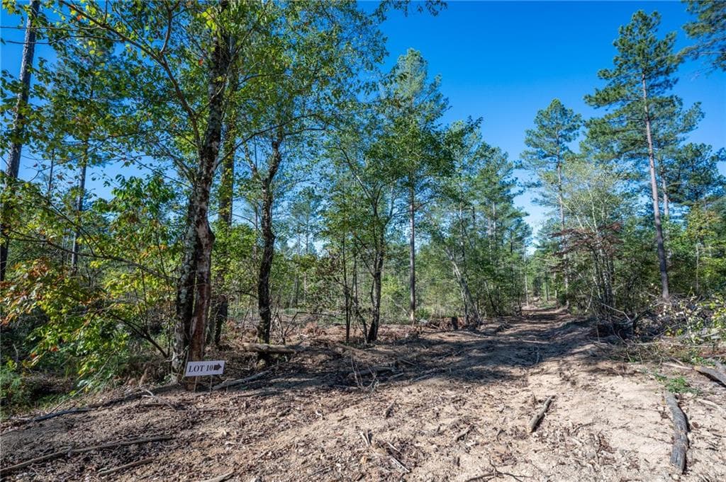 single family residence for sale at 3867 HWY 140, Rydal, GA 30171 — photo 5