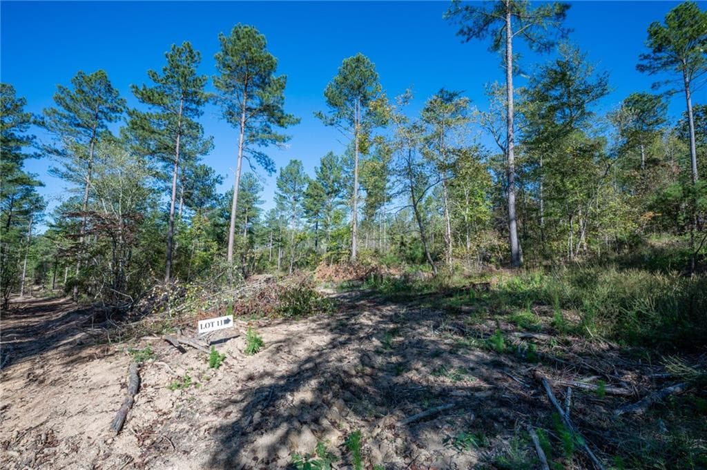 single family residence for sale at 3867 HWY 140, Rydal, GA 30171 — photo 6