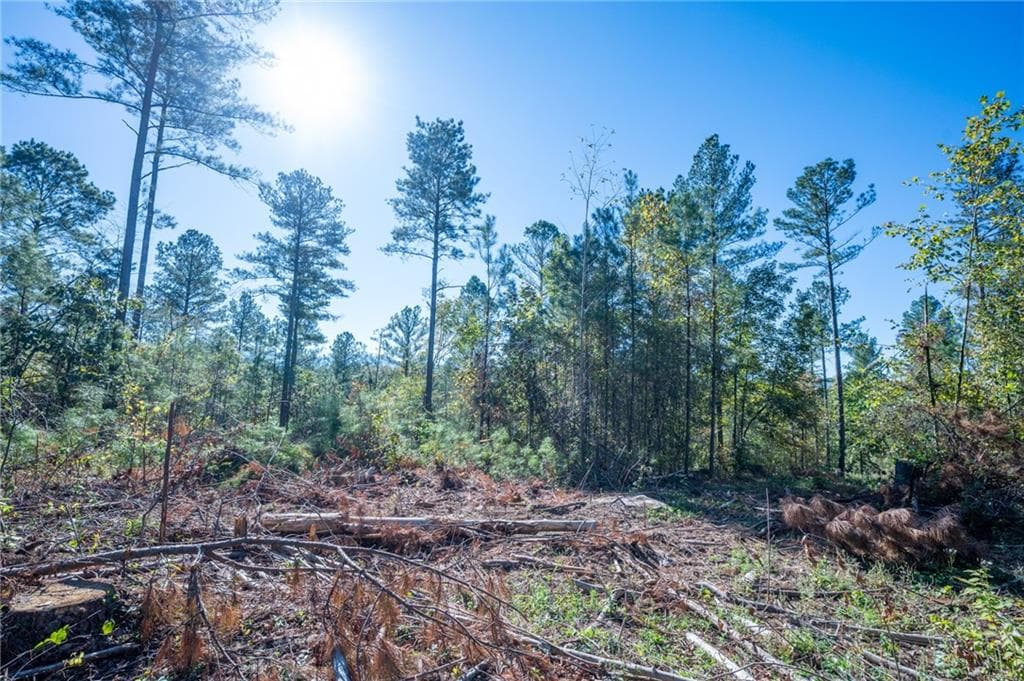 single family residence for sale at 3867 HWY 140, Rydal, GA 30171 — photo 7