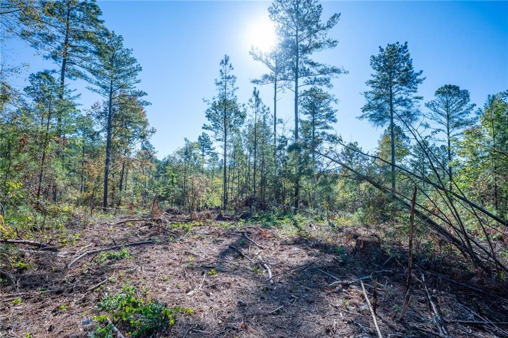 single family residence for sale at 3867 HWY 140, Rydal, GA 30171 — photo 8