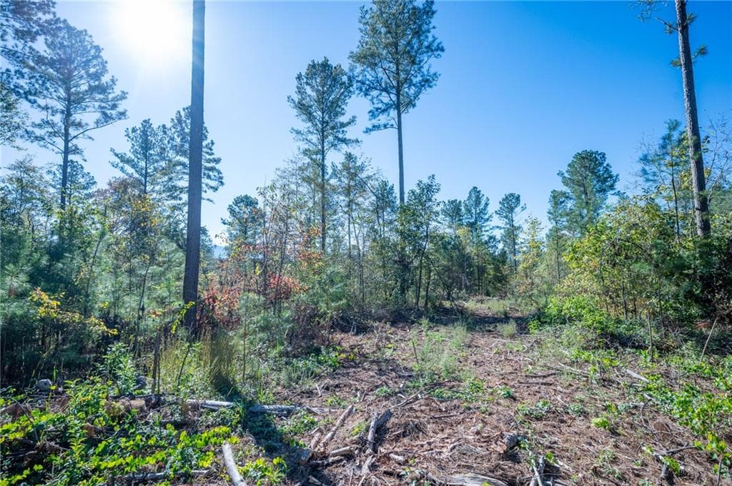 single family residence for sale at 3867 HWY 140, Rydal, GA 30171 — photo 9