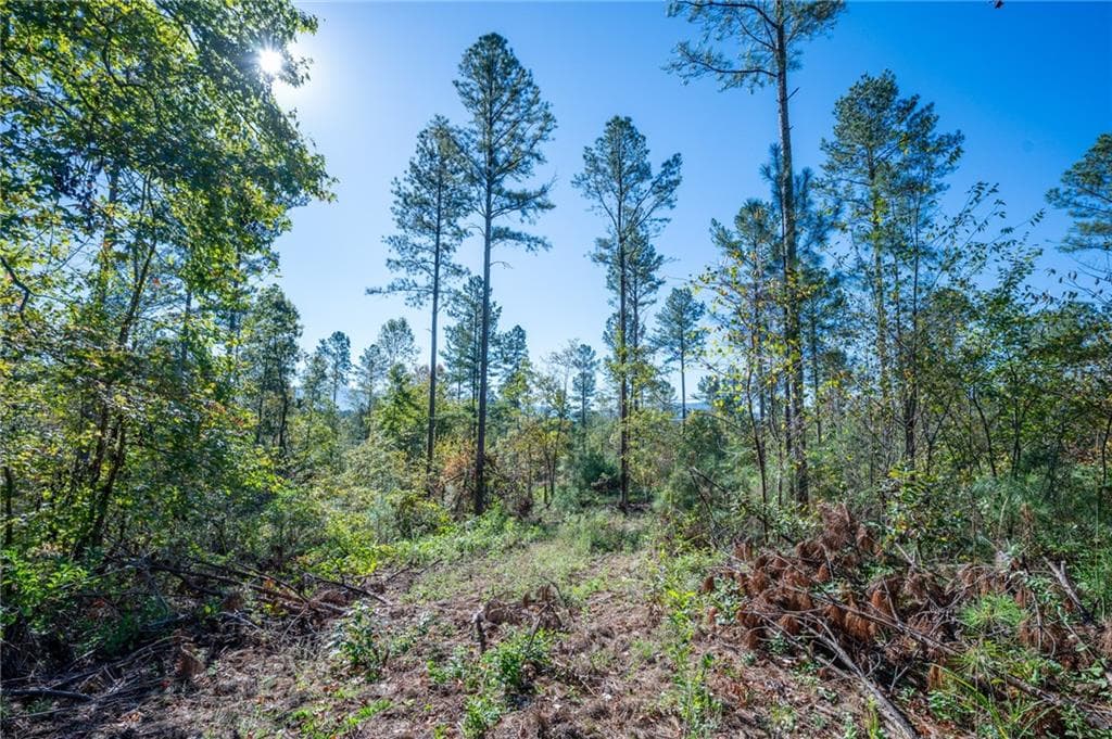 single family residence for sale at 3867 HWY 140, Rydal, GA 30171 — photo 10