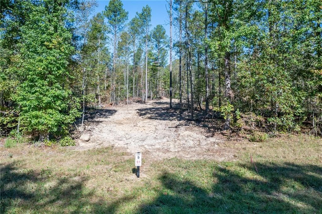 single family residence for sale at 3863 HWY 140, Rydal, GA 30171
