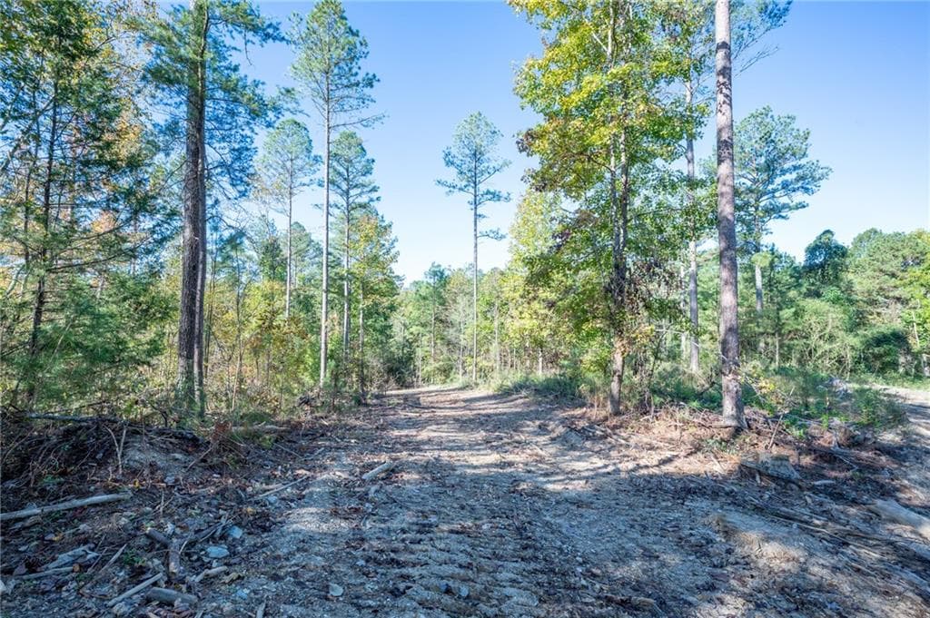 single family residence for sale at 3863 HWY 140, Rydal, GA 30171 — photo 2