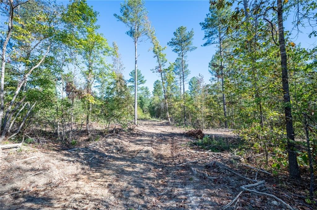 single family residence for sale at 3863 HWY 140, Rydal, GA 30171 — photo 5