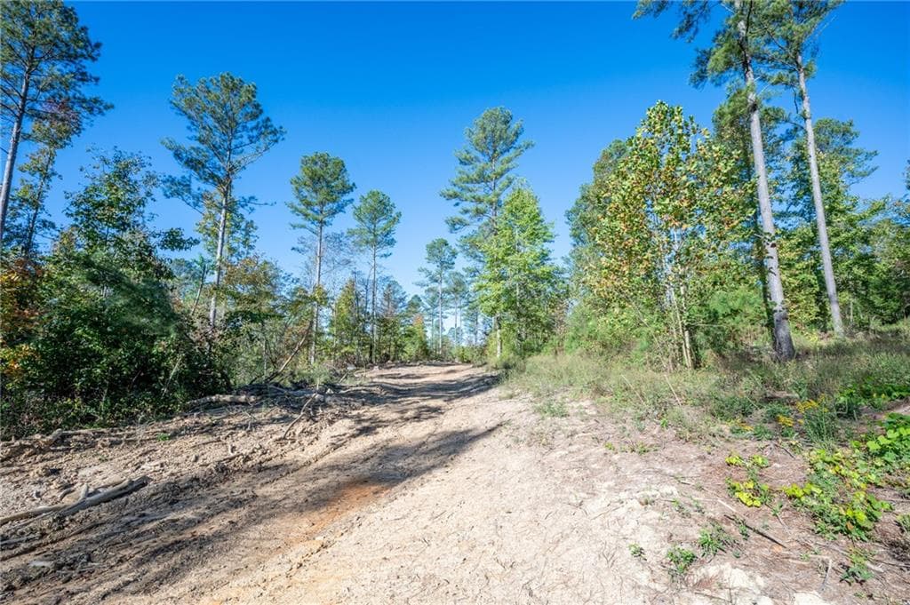 single family residence for sale at 3863 HWY 140, Rydal, GA 30171 — photo 6