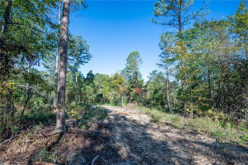 single family residence for sale at 3863 HWY 140, Rydal, GA 30171 — photo 8