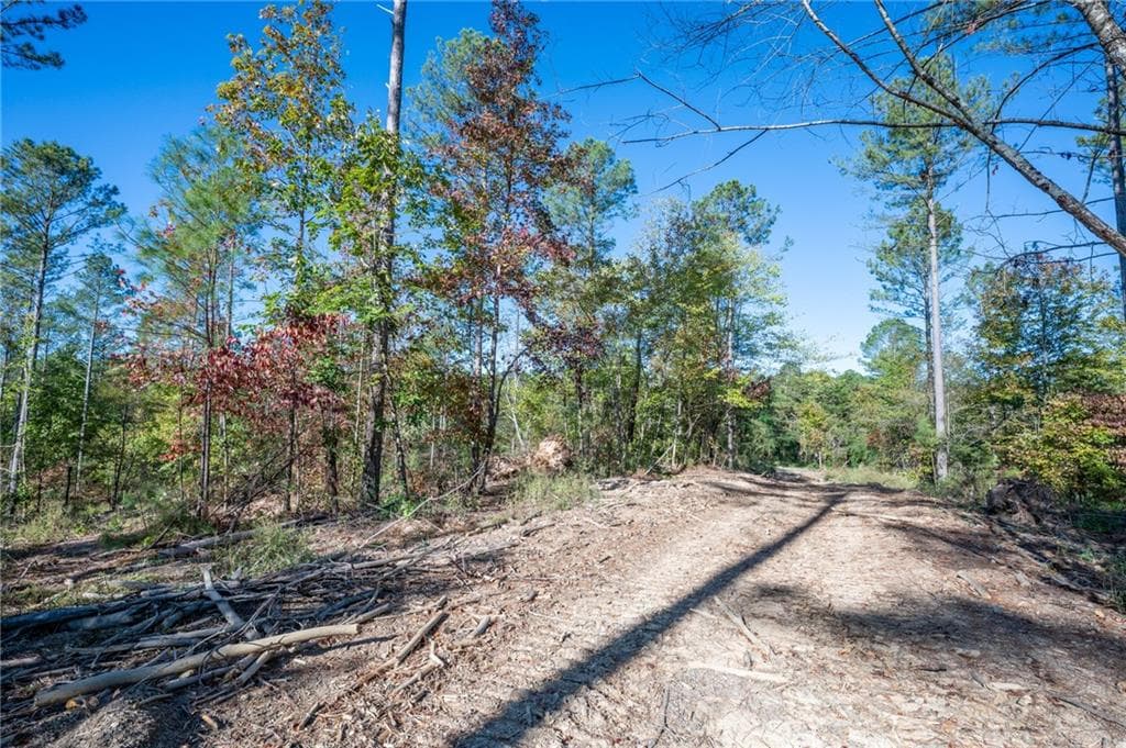 single family residence for sale at 3863 HWY 140, Rydal, GA 30171 — photo 9