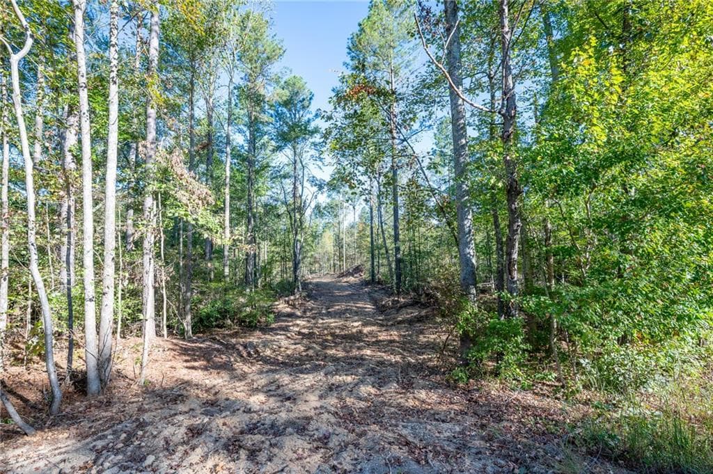 single family residence for sale at 3859 HWY 140, Rydal, GA 30171 — photo 2