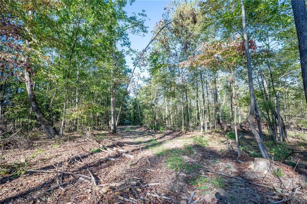 single family residence for sale at 3859 HWY 140, Rydal, GA 30171 — photo 3
