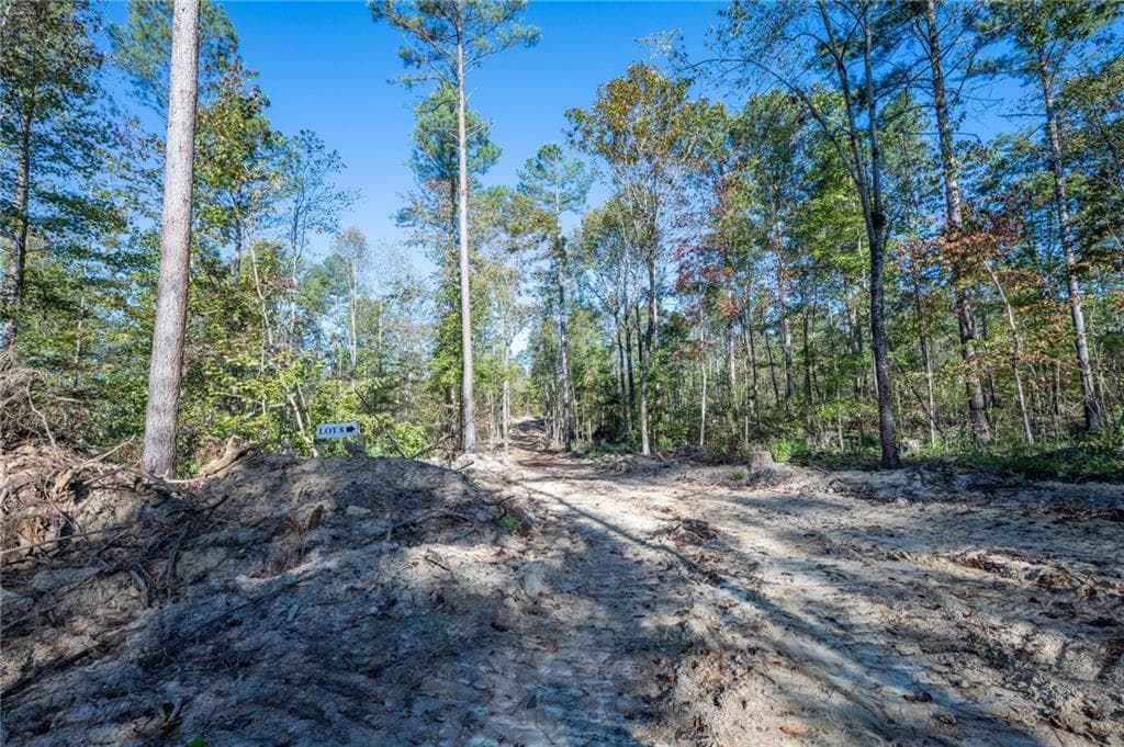 single family residence for sale at 3859 HWY 140, Rydal, GA 30171 — photo 4