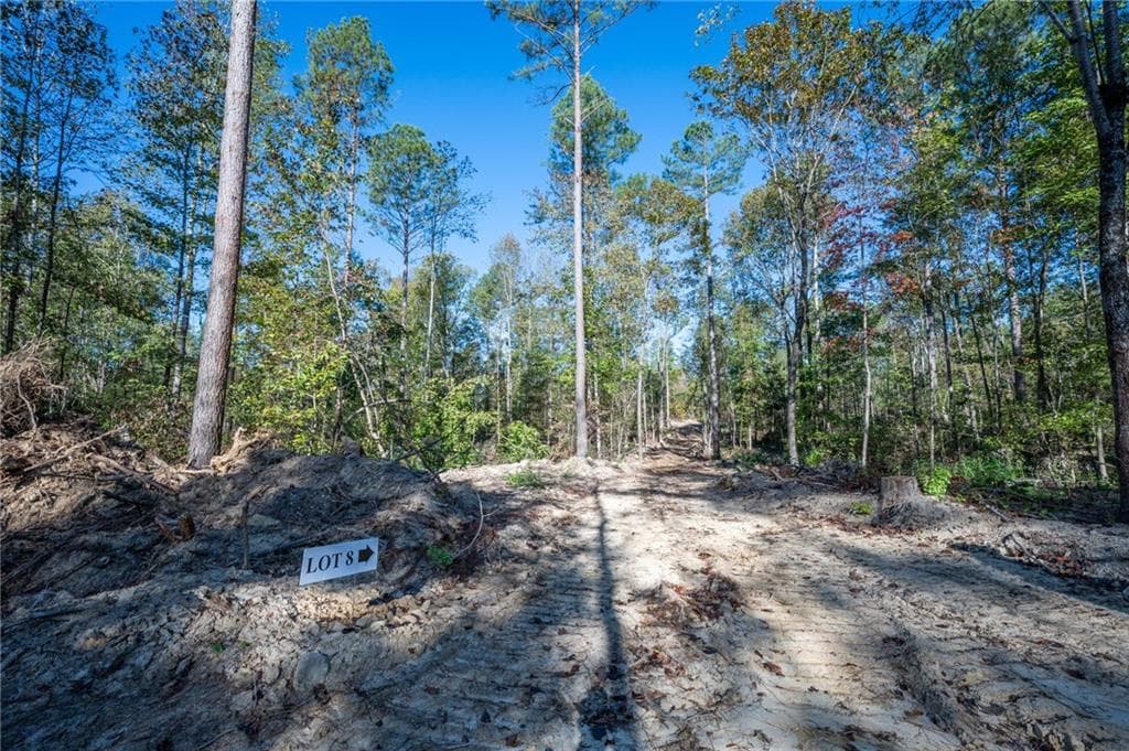 single family residence for sale at 3859 HWY 140, Rydal, GA 30171 — photo 5
