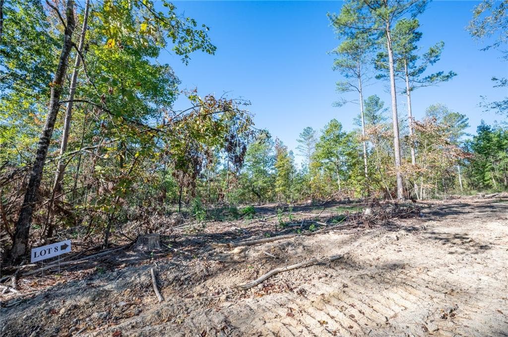 single family residence for sale at 3859 HWY 140, Rydal, GA 30171 — photo 6