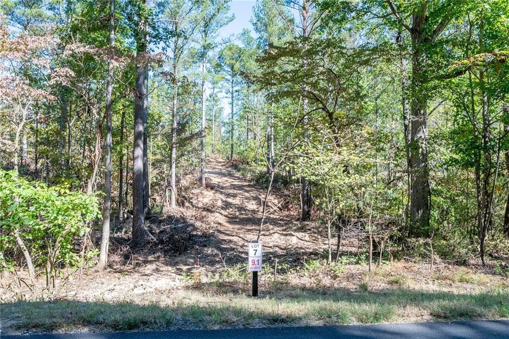 single family residence for sale at 3809 HWY 140, Rydal, GA 30171 — photo 3