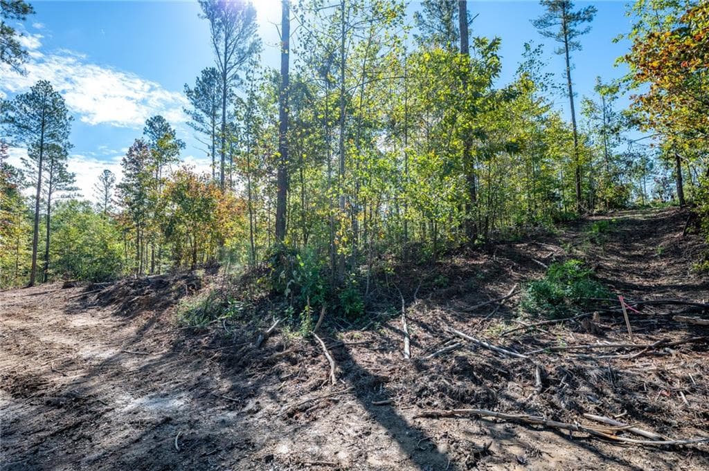 single family residence for sale at 3809 HWY 140, Rydal, GA 30171 — photo 4