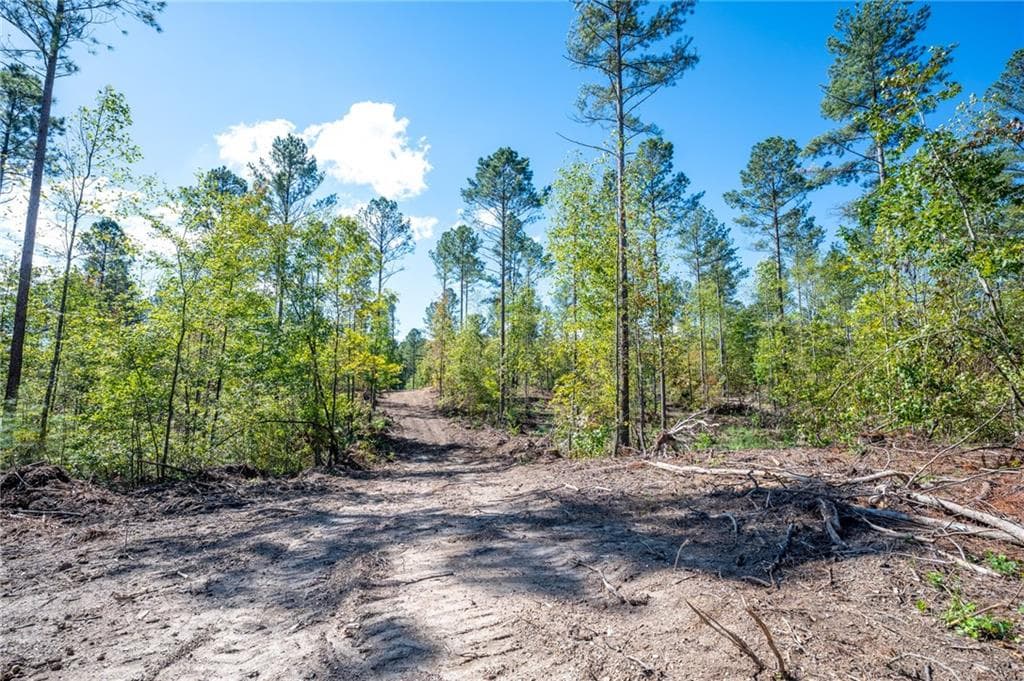 single family residence for sale at 3809 HWY 140, Rydal, GA 30171 — photo 6