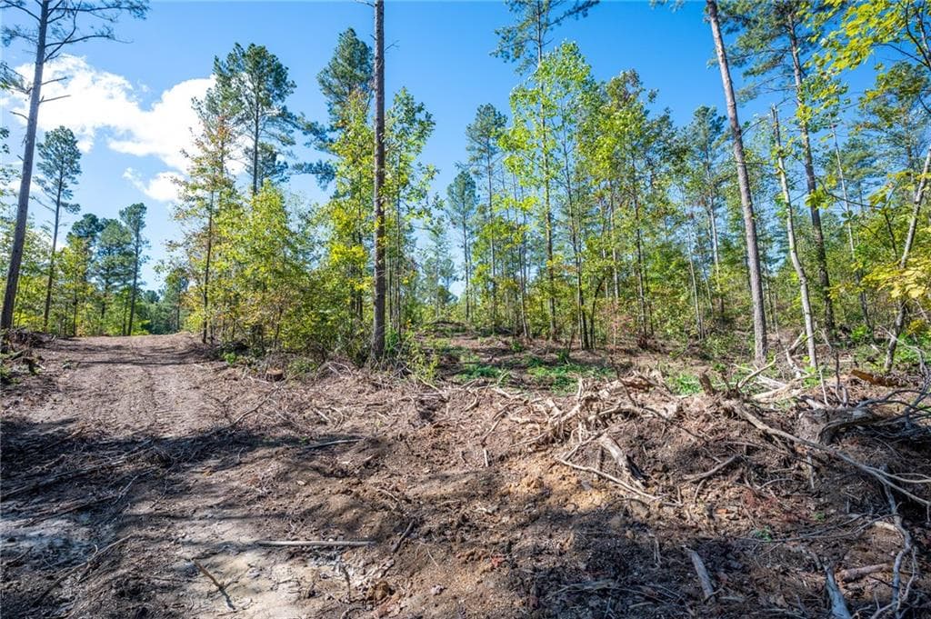 single family residence for sale at 3809 HWY 140, Rydal, GA 30171 — photo 8