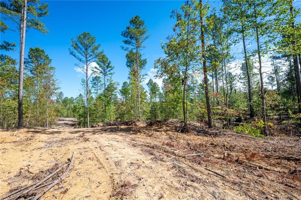 single family residence for sale at 3809 HWY 140, Rydal, GA 30171 — photo 9