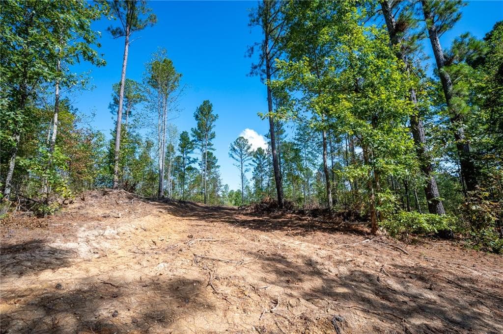 single family residence for sale at 3809 HWY 140, Rydal, GA 30171 — photo 10