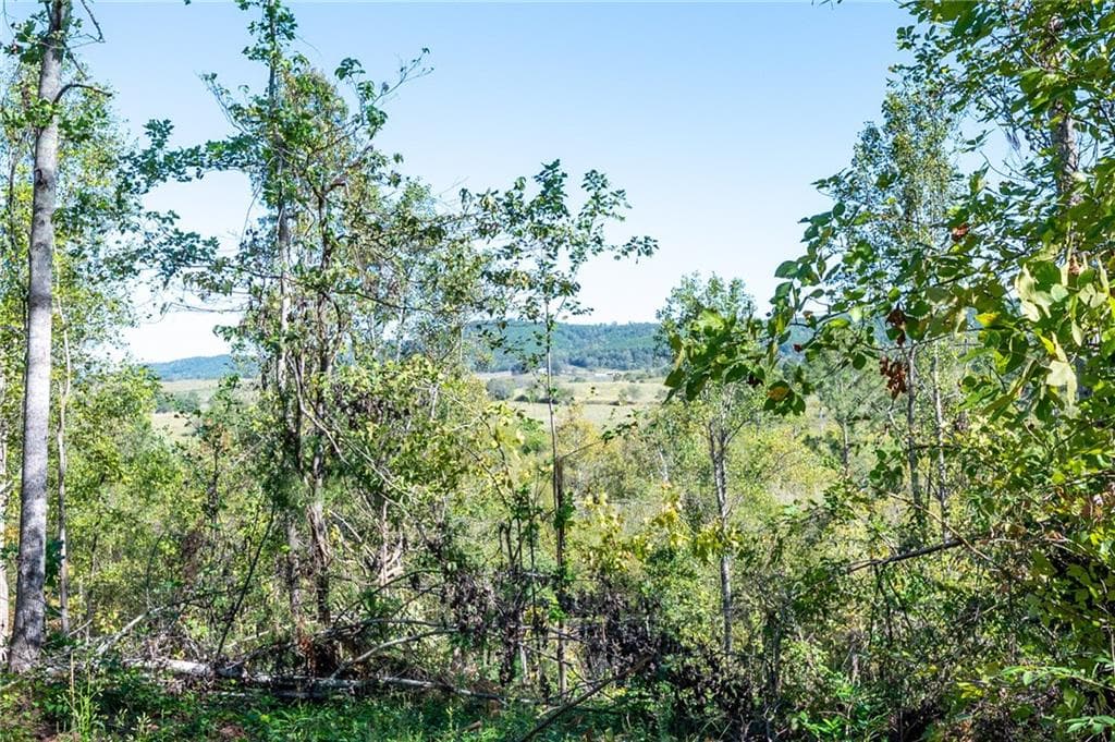 single family residence for sale at 3793 HWY 140, Rydal, GA 30171 — photo 2