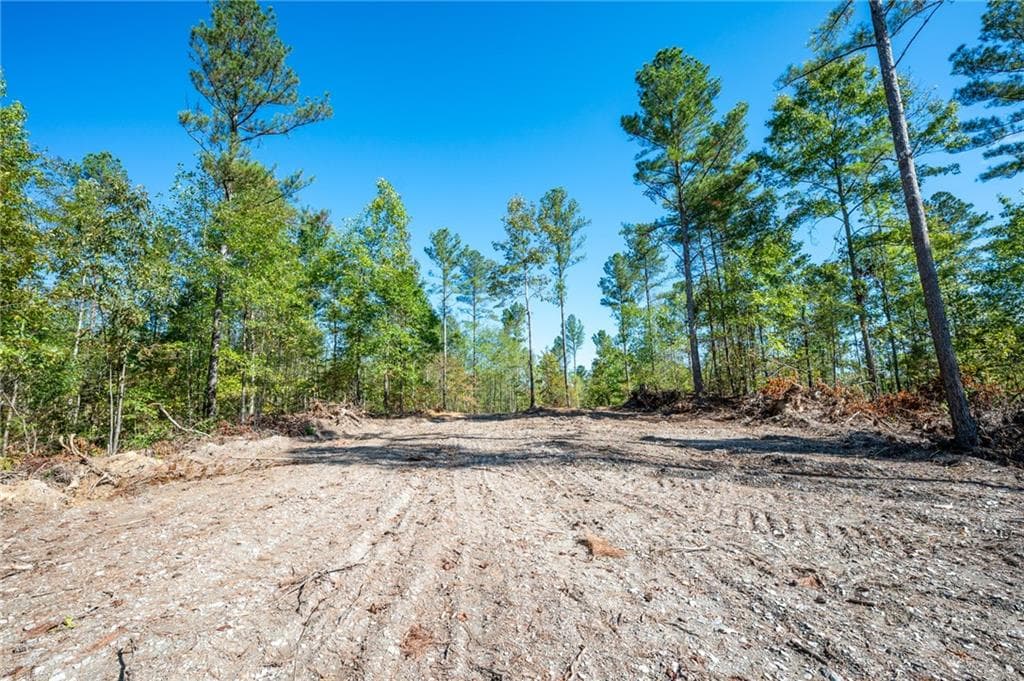 single family residence for sale at 3793 HWY 140, Rydal, GA 30171 — photo 6
