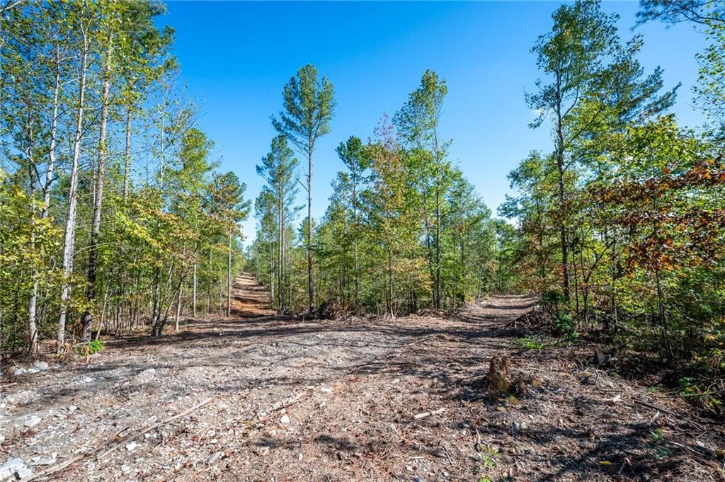 single family residence for sale at 3793 HWY 140, Rydal, GA 30171 — photo 7