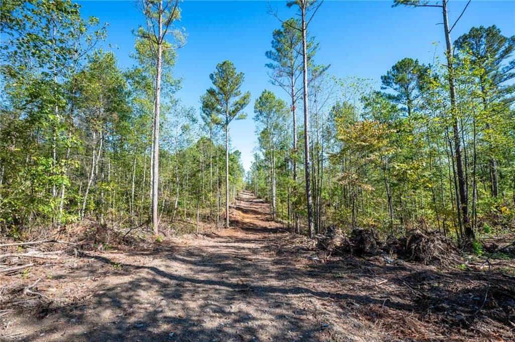 single family residence for sale at 3793 HWY 140, Rydal, GA 30171 — photo 8