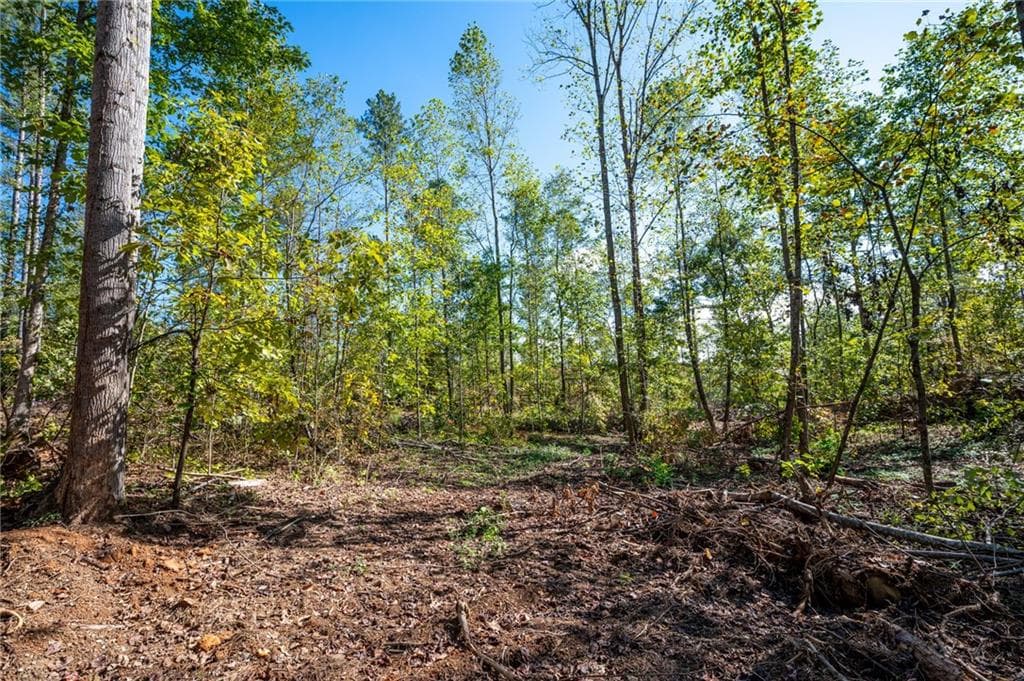 single family residence for sale at 3793 HWY 140, Rydal, GA 30171 — photo 9