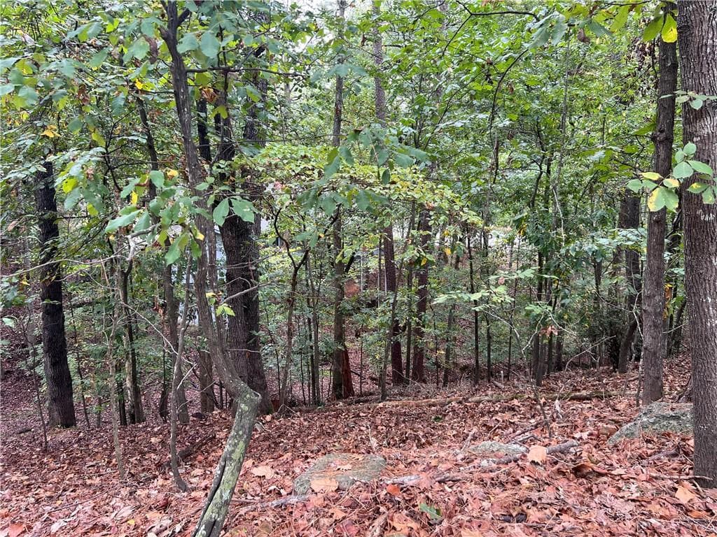 single family residence for sale at 0 SPYGLASS BLUFF Drive, Johns Creek, GA 30022 — photo 5