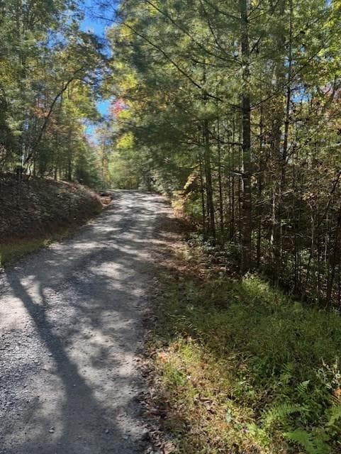 other sold at 0 Hillbilly Hollow, Blue Ridge, GA 30513