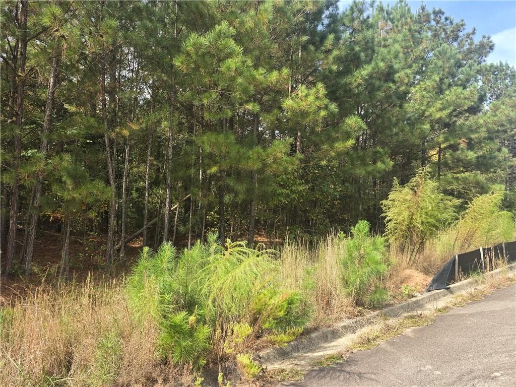 single family residence for sale at 188 Belford Way, Jackson, GA 30233 — photo 2