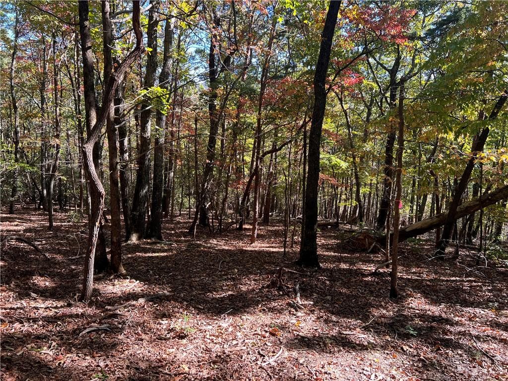 single family residence for sale at 4428 Bee Tree Ridge Drive, Jasper, GA 30143 — photo 10