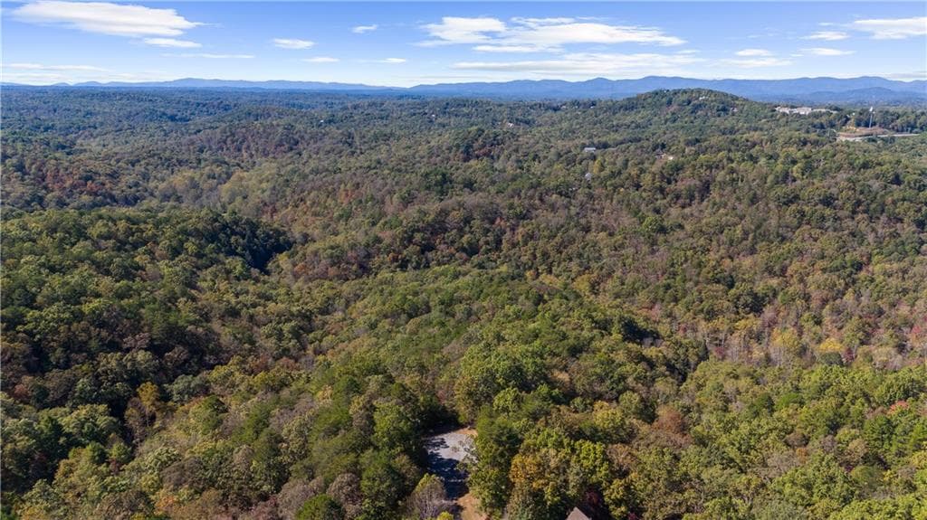 single family residence for sale at 1047 Nugget Court, Dahlonega, GA 30533 — photo 2
