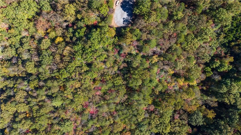 single family residence for sale at 1047 Nugget Court, Dahlonega, GA 30533 — photo 7