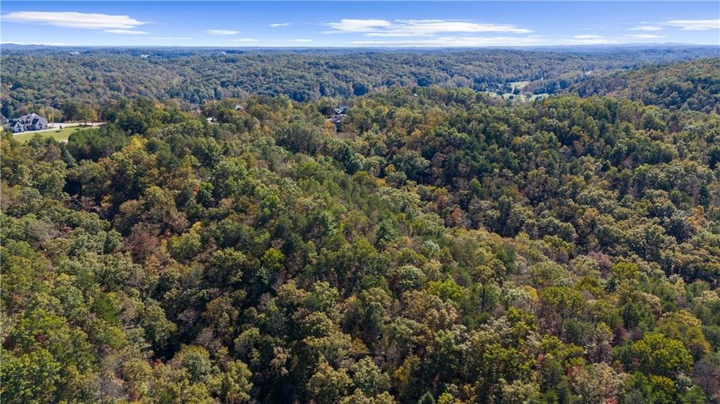 single family residence for sale at 1047 Nugget Court, Dahlonega, GA 30533 — photo 8