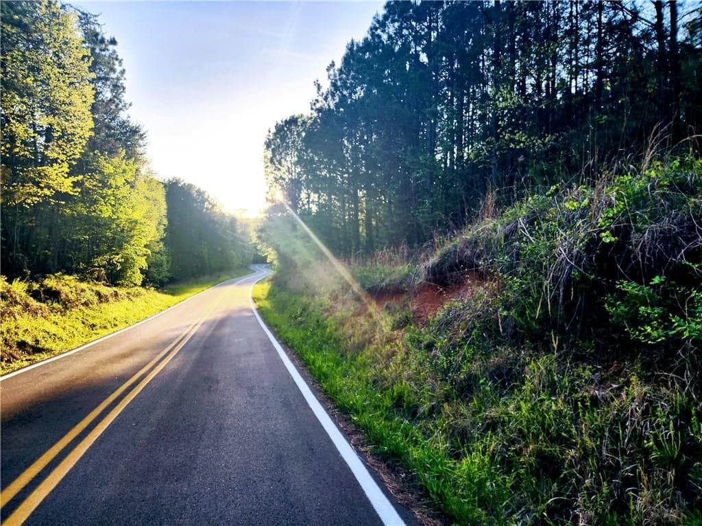 unimproved land for sale at 0 Carver Mill Road, Talking Rock, GA 30175 — photo 1 of 2