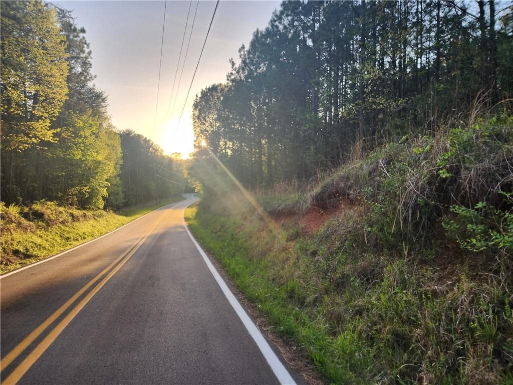 unimproved land for sale at 0 Carver Mill Road, Talking Rock, GA 30175 — photo 2