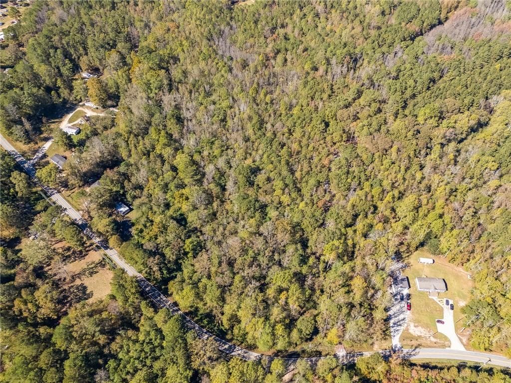 unimproved land for sale at 0000 Hog Liver Road, Carrollton, GA 30117 — photo 4